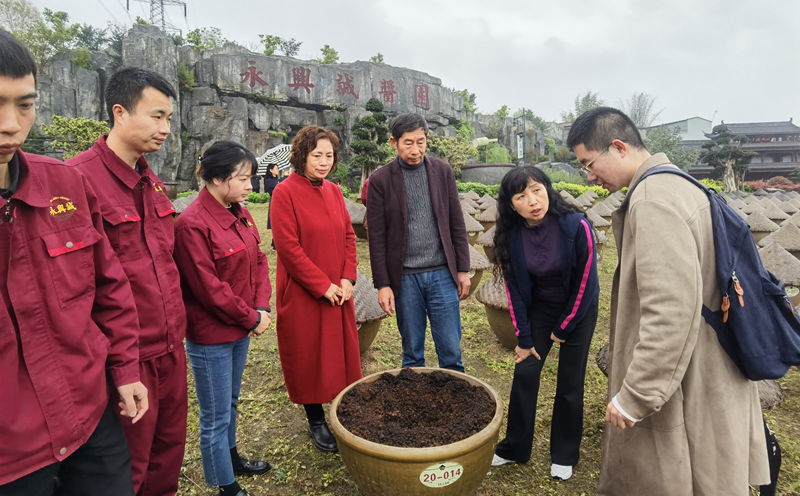 图片8.png